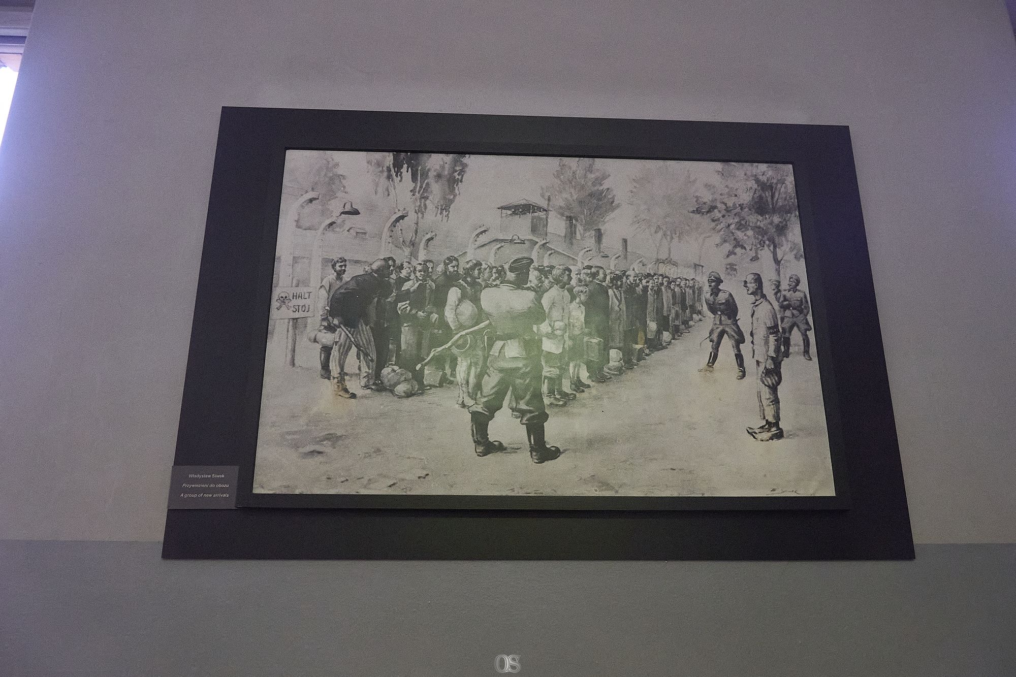 Auschwitz 42.jpg